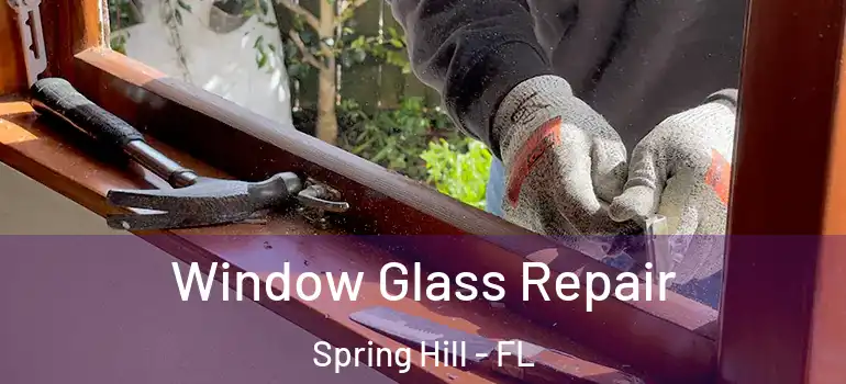  Window Glass Repair Spring Hill - FL