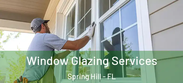  Window Glazing Services Spring Hill - FL