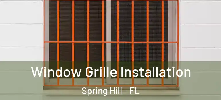  Window Grille Installation Spring Hill - FL