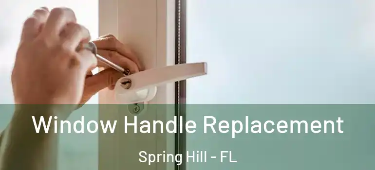  Window Handle Replacement Spring Hill - FL