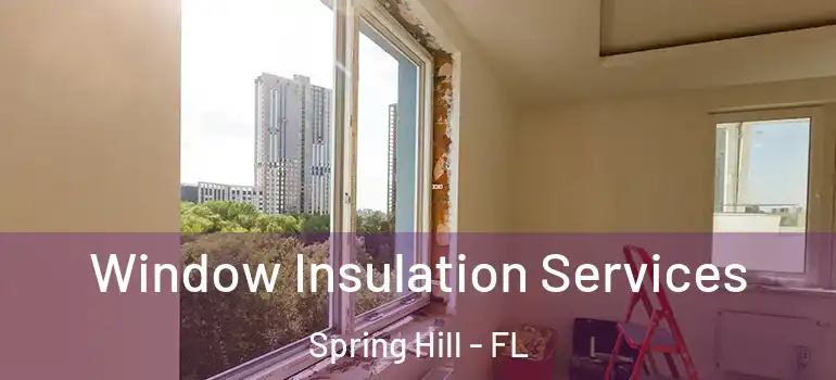  Window Insulation Services Spring Hill - FL