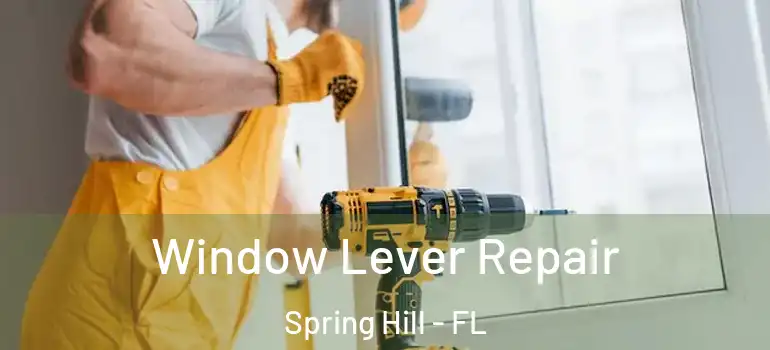  Window Lever Repair Spring Hill - FL