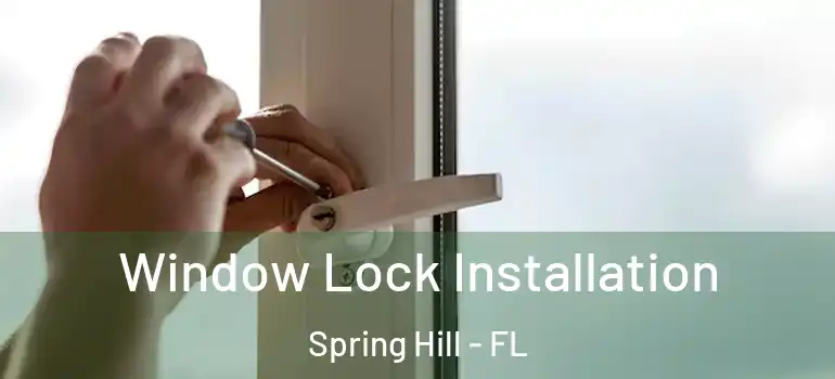  Window Lock Installation Spring Hill - FL