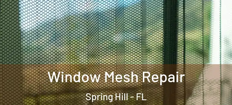  Window Mesh Repair Spring Hill - FL