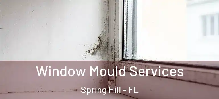  Window Mould Services Spring Hill - FL