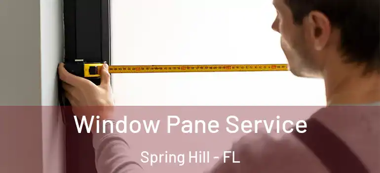  Window Pane Service Spring Hill - FL