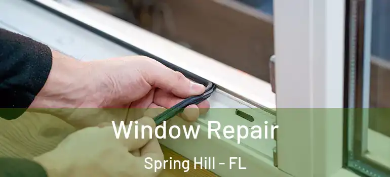  Window Repair Spring Hill - FL
