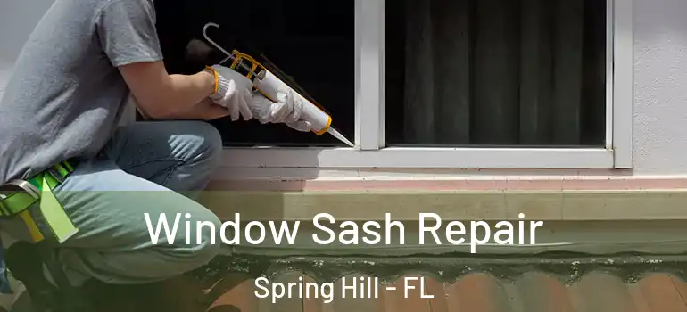  Window Sash Repair Spring Hill - FL