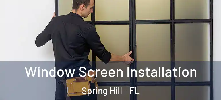  Window Screen Installation Spring Hill - FL
