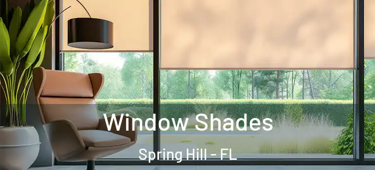  Window Shades Spring Hill - FL