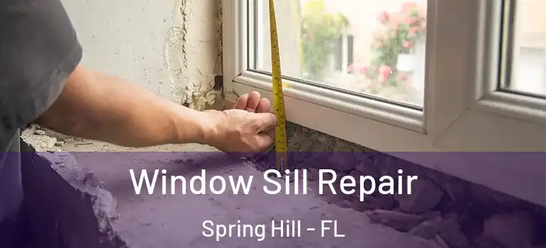  Window Sill Repair Spring Hill - FL