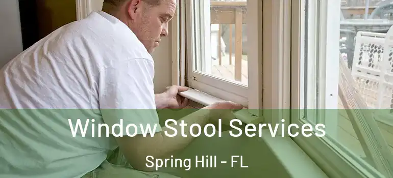  Window Stool Services Spring Hill - FL