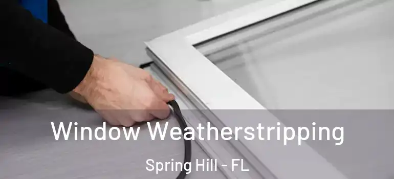  Window Weatherstripping Spring Hill - FL
