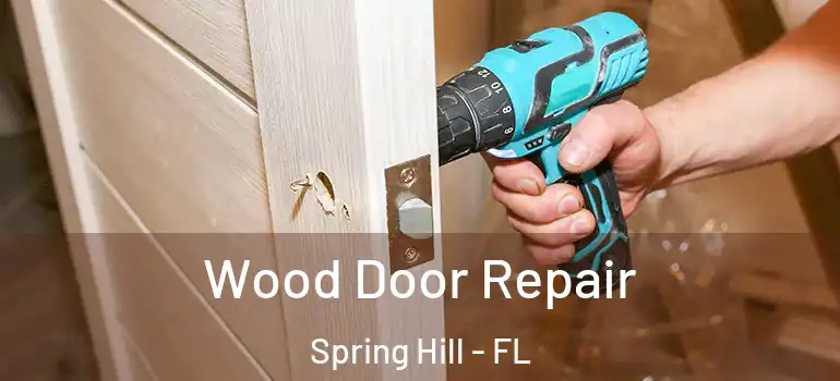  Wood Door Repair Spring Hill - FL